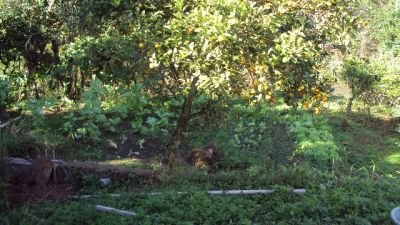 CHACARA A VENDA EM JUQUITIBA PARA MORADIA COD 154