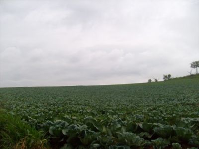 Belo sitio em Piedade
