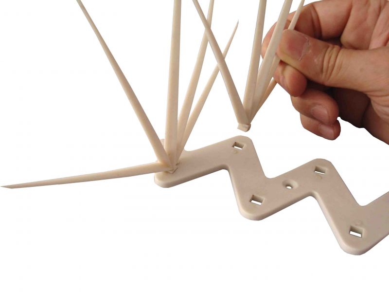 Repelente espanta pombos