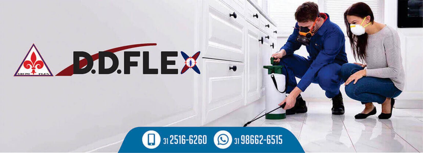 Dedetizadora de insetos, ratos e cupins em Belo Horizonte