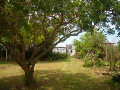 TERRENO DE 1800m²  FUNDOS PRA LAGOA  COM TRAPICHE