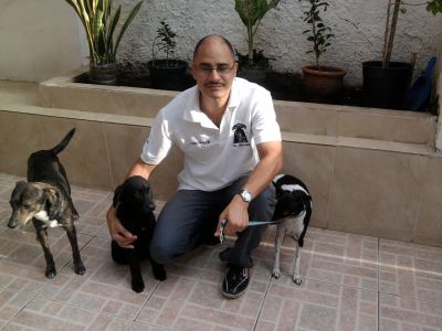 matilha escola para cães