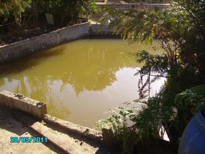 CHÁCARA C/ 1.630 M² - SÃO LOURENÇO DA SERRA - SP - COD: 429  F: (11) 4686-1562 - CEL: (11) 7302-9229