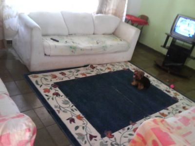 CARAGUATATUBA  ALUGO CASA P/ TEMPORADA  DIARIA r$150