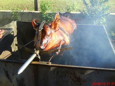 rei do sul churrascos