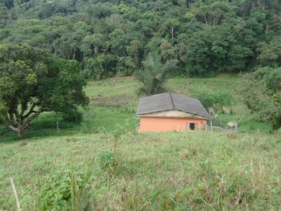 SÍTIO COM 14 ALQUEIRES