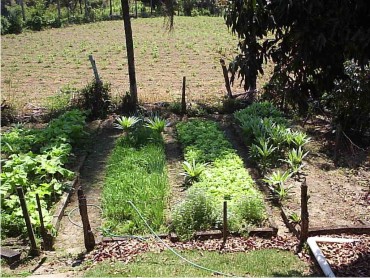 CACHOEIRAS DE MACACÚ SITIOS A VENDA CAETANO IMOVEIS
