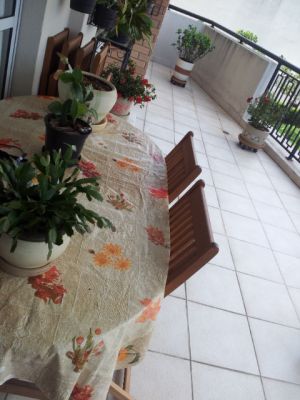 Apto Na Rua Jaguari, 381, Grandlife Bosque Da Saude, 138m². 