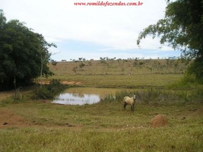  fazenda em divinopolis  mg 140 km de belo horizonte  344 há