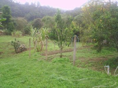 CHÁCARA COM 4.500 M² - JUQUITIBA - SP - F: (11) 4686-1562 - CEL: (11) 7302-9229 