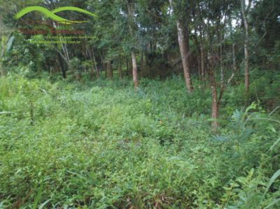 oportunidade chácara pescaria na margem do rio Paraopeba