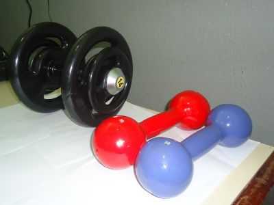Anilhas e Halteres