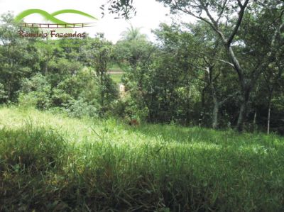 chácara c/ água corrente no meio Igarapé itatiaiuçu