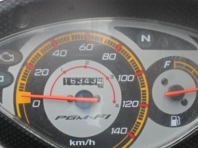 Imperdível Bis 2010  Rosa novissima