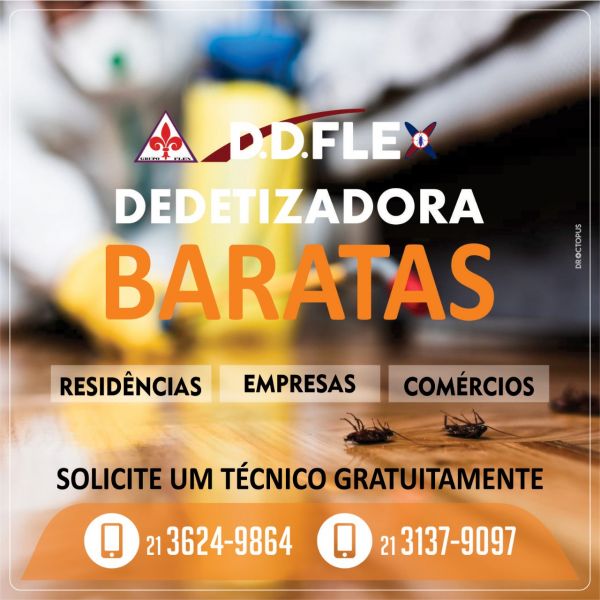 Dedetização de baratas