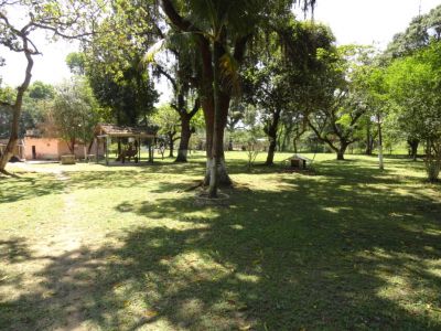 Ótimo sítio, com 6.000 m2, 2 casas, campo de futebol, piscina e muito verde!