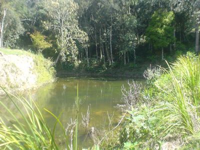 Terreno/chacara Região de Curitiba