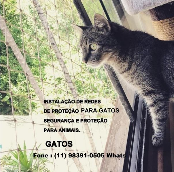 Telas de Proteção no Campo Limpo, Rua Lira Cearense, (11)  98391-0505 whats