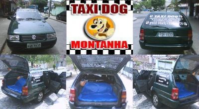TAXI DOG MONTANHA TRANSPORTE DE ANIMAIS NO RIO DE JANEIRO